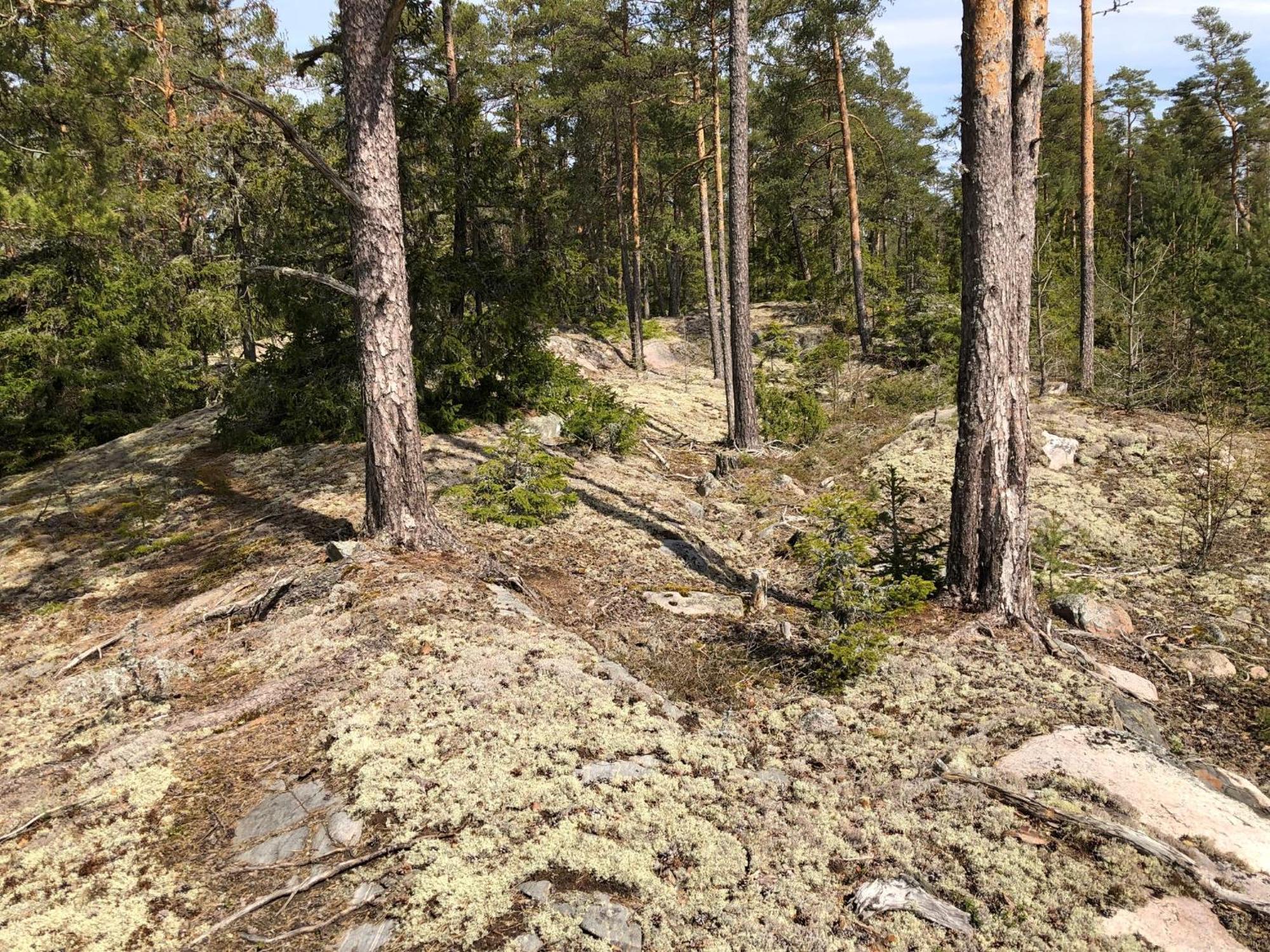 Poersvik